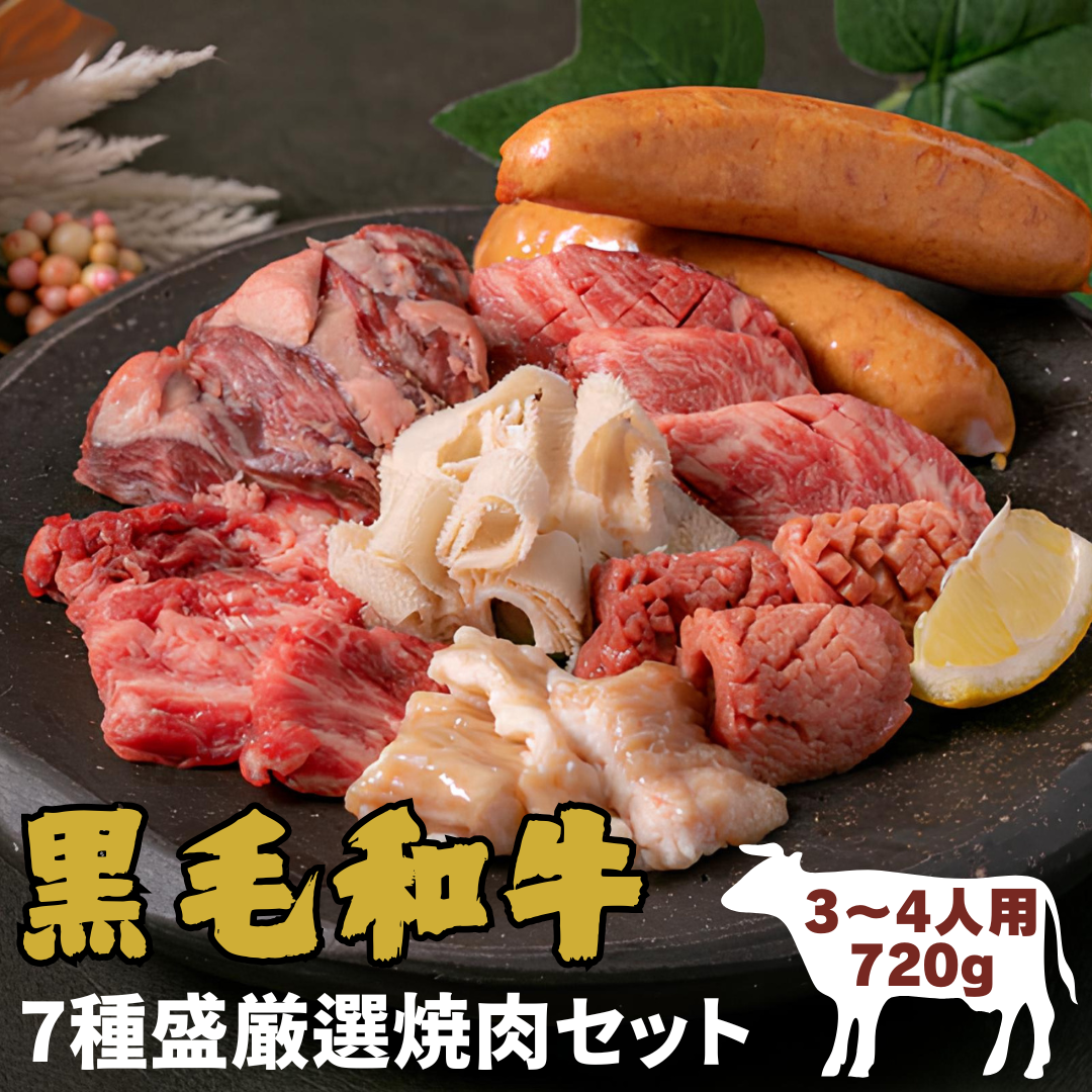 【Aセット 7種盛】厳選焼肉セット (バラ ハラミ ミスジ タンシマチョウ イベリコ豚ソーセージ) <3〜4人前 720g>