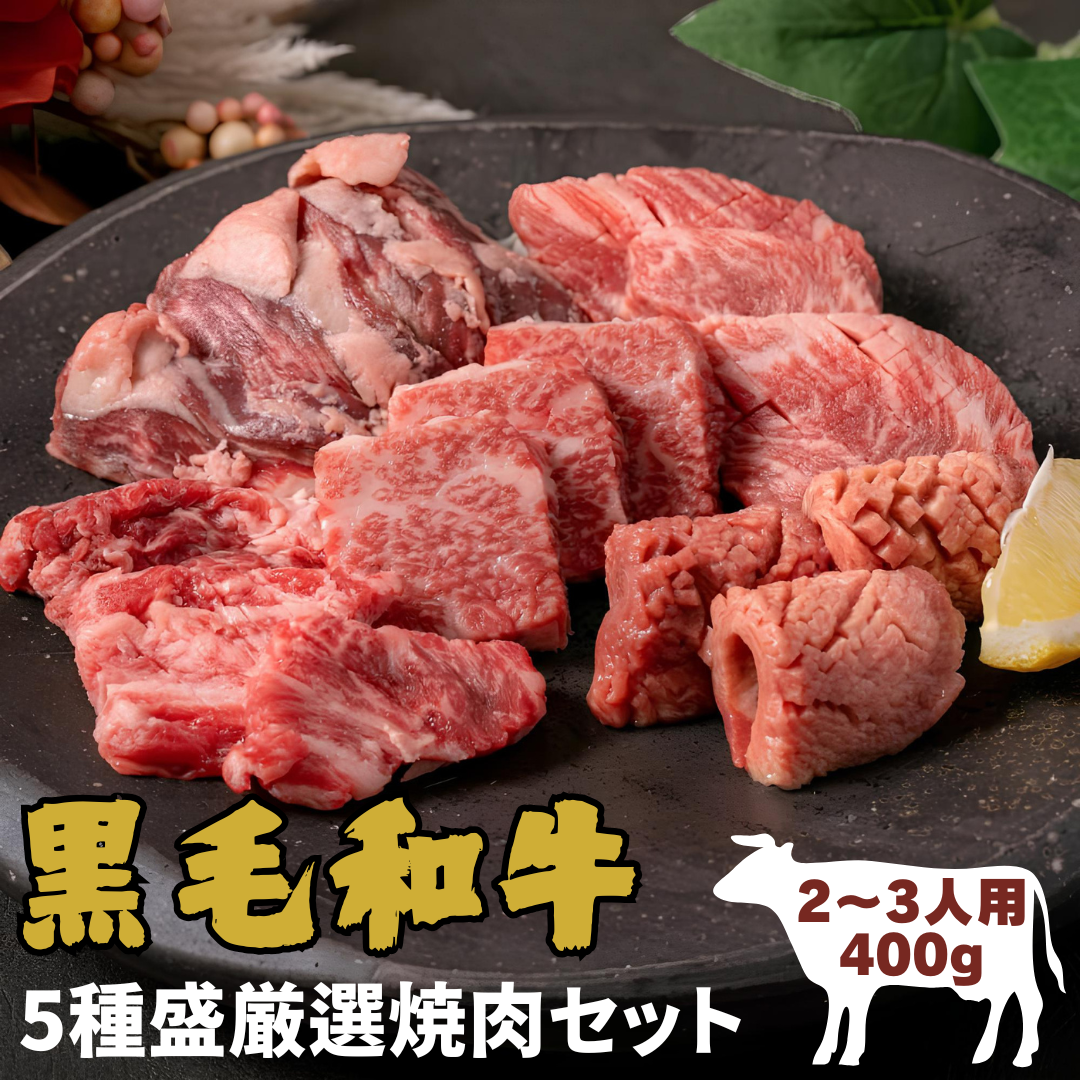 【Dセット 5種盛】厳選焼肉セット (バラ ハラミ ミスジ ロース タン) <2~3人前 400g>