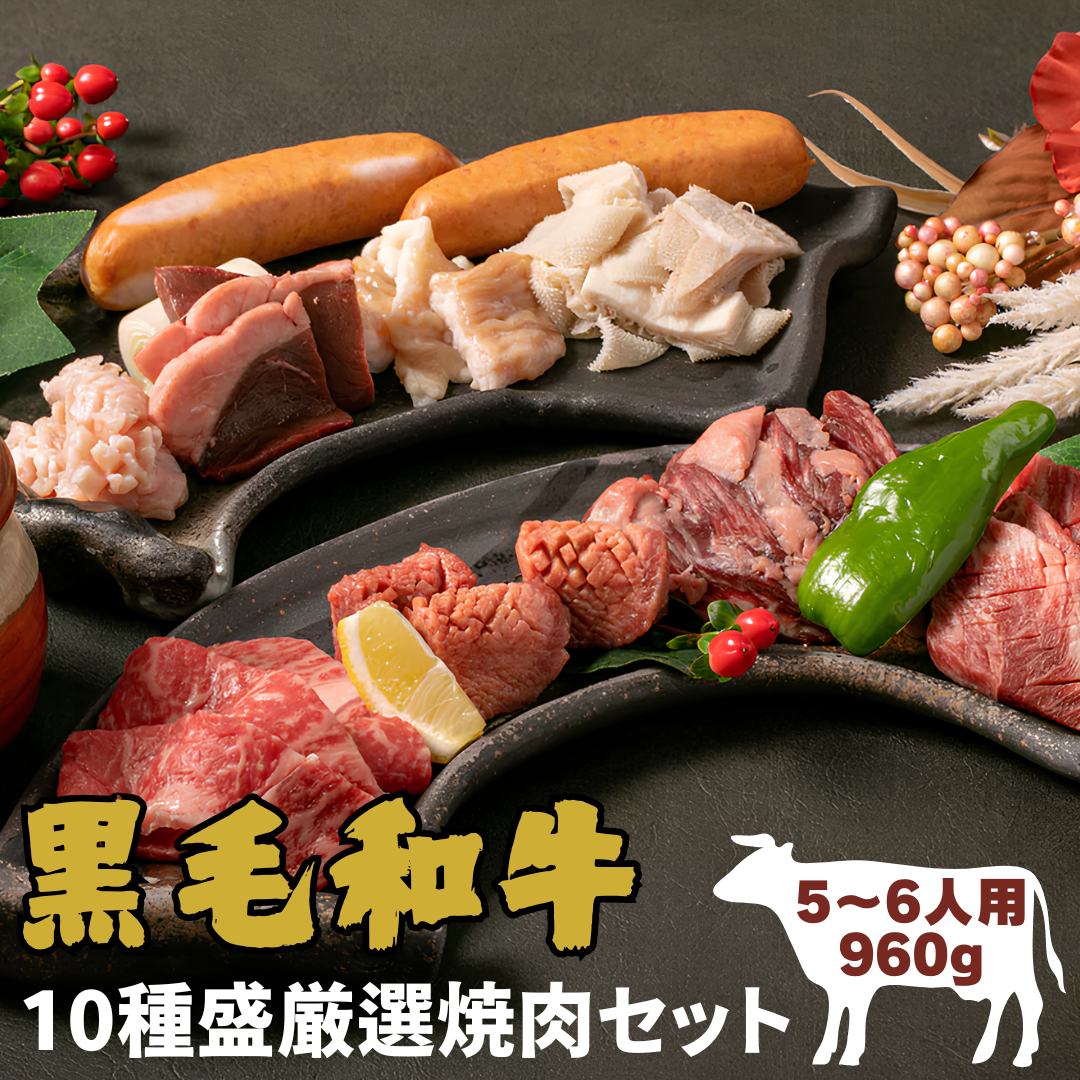 【Jセット 10種盛】厳選焼肉セット (バラ タン ハラミ ミスジ ロース ミノ ハツ シマチョウ 白センマイ フランク1p) <5~6人前 960g>