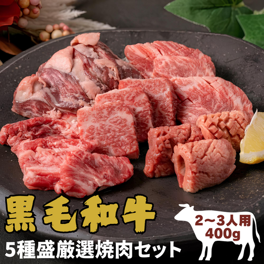 【Dセット 5種盛】厳選焼肉セット （バラ ハラミ ミスジ ロース タン) ＜2~3人前 400g>