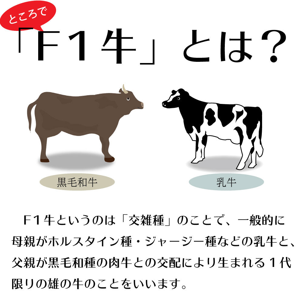 店長厳選焼肉１０種盛り 焼肉セット 5人前×5セット焼き肉　食べ比べ お取り寄せ  バラ オランダ産仔牛上タン 上ハラミ F1ミスジ F2上ロース サンドミノ アブシン シマチョウ  白センマイ イベリコ豚 バーベキュー　BBQ