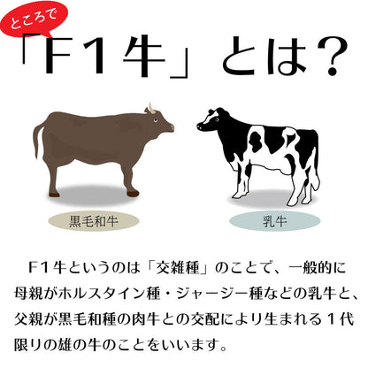 店長厳選焼肉１０種盛り 焼肉セット 5人前×5セット焼き肉　食べ比べ お取り寄せ  バラ オランダ産仔牛上タン 上ハラミ F1ミスジ F2上ロース サンドミノ アブシン シマチョウ  白センマイ イベリコ豚 バーベキュー　BBQ