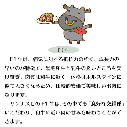 店長厳選焼肉１０種盛り 焼肉セット 5人前×3セット焼き肉　食べ比べ お取り寄せ  バラ オランダ産仔牛上タン 上ハラミ F1ミスジ F2上ロース サンドミノ アブシン シマチョウ  白センマイ イベリコ豚 BBQ 箱入り